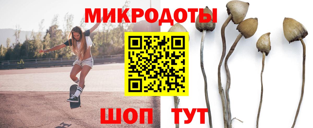 как найти наркотики  Вход с VPN  Юрга  Галлюциногенные грибы Psilocybine cubensis 